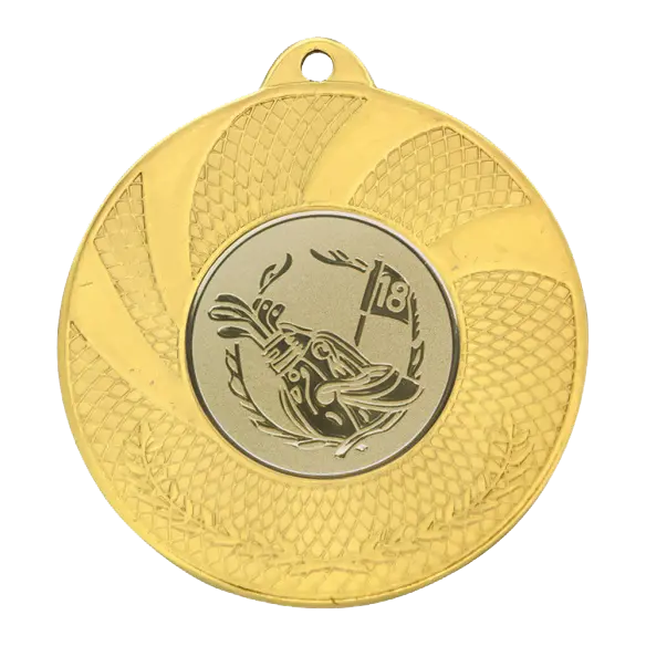 Gold medal with a blue and yellow ribbon alongside