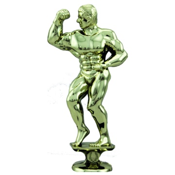 Bodybuilder in Bright Gold 1 size