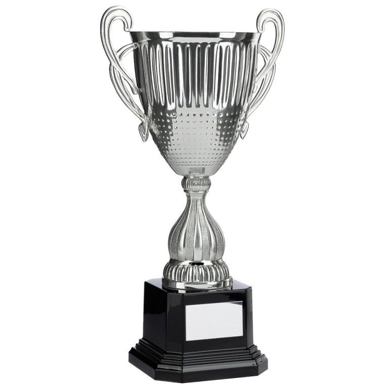 Bright Silver Conical Cup with Handles  5 sizes