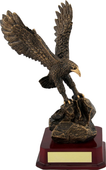 EAGLE 24cm (9.5")