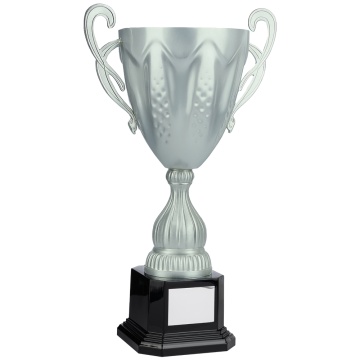 Bright Silver Conical Cup with Handles  5 sizes