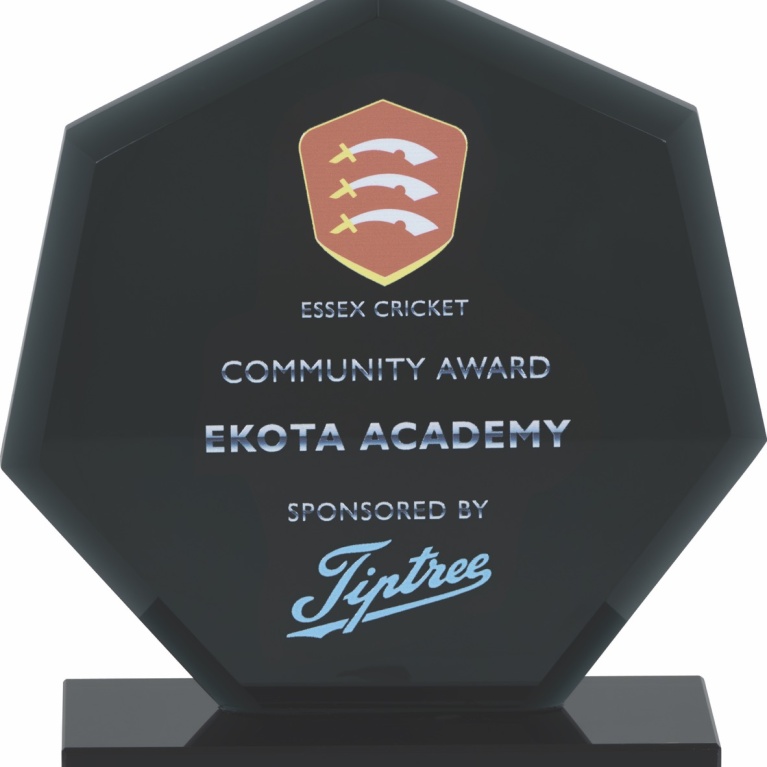 Multi Activity Glass  Collection