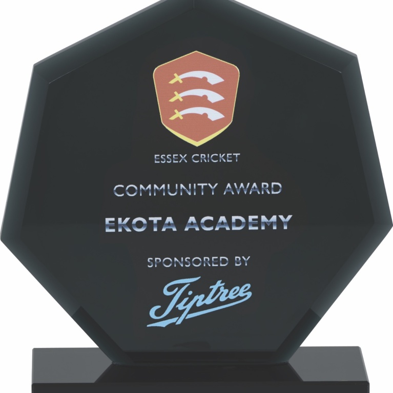 Multi Activity Glass  Collection