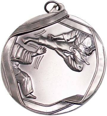 Karate Medal in 60mm