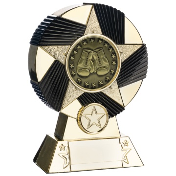 Two Tone  Stand  Boxing Gloves  Bright Gold and Black  4 sizes