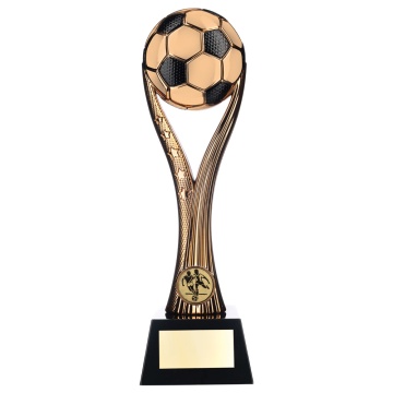 Two Tone Football Ball  on Stand in   6 Colours