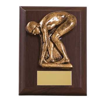 Wooden Plaque with Male Swimming Trim in 3 sizes
