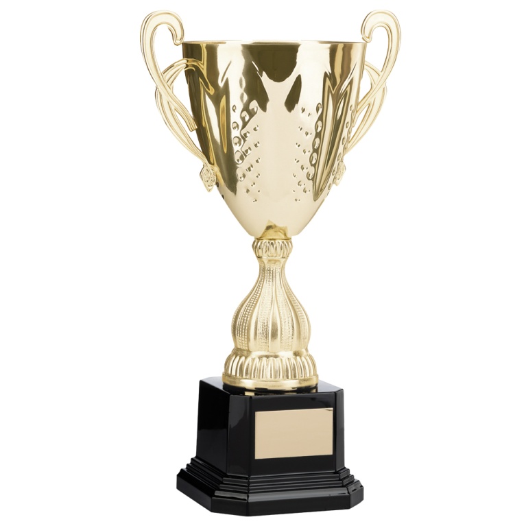 Bright Gold Conical Cup with Handles  4 sizes