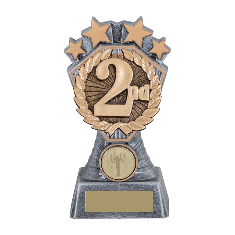 Heavy Composite Generic Placing Award Insert 1 size