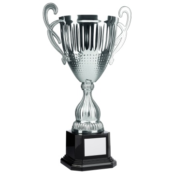 Bright Silver Conical Cup with Handles  5 sizes