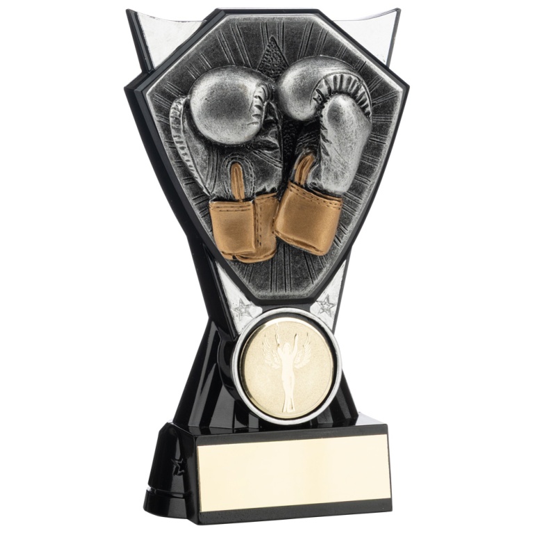 Two Tone Stand Boxing Gloves   Silver  and Black  4 sizes