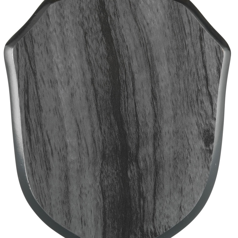 Wooden Shield with Strut in Silver Wood effect in 3 sizes