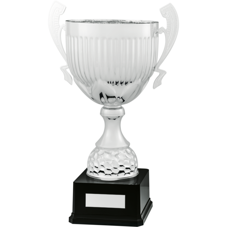 All Activity with Bright Silver Cup with Stem Composite Base in 4 sizes