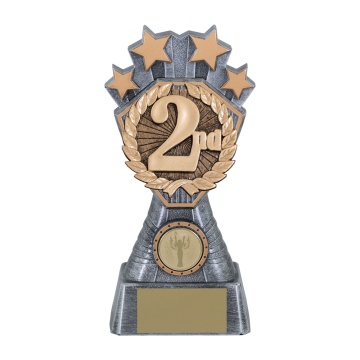 Heavy Composite Generic Placing Award Insert 1 size