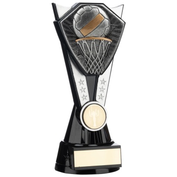 Two Tone Stand Netball Ball and Net   Silver  and Black  4 sizes