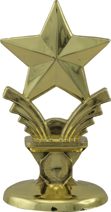 Star Top in Bright Gold or Silver