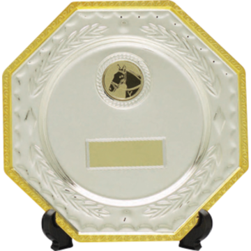 All Activity Silver Plated Metal Salver and Stand with Gold Trim 1" Centre 2 sizes