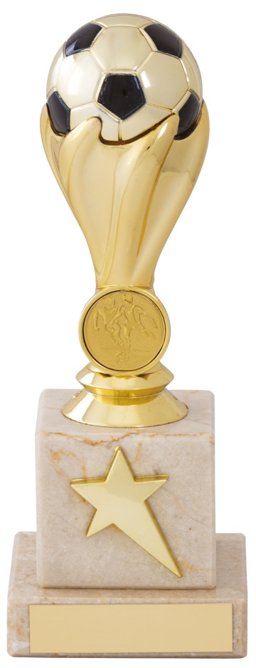 Bright Gold Football top on marble Base for 1" centre 4 sizes