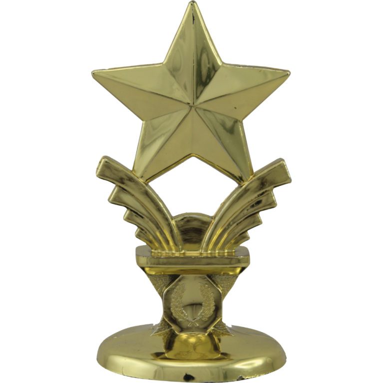 Star Top in Bright Gold or Silver