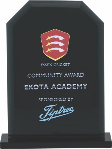 Multi Activity Glass  Collection