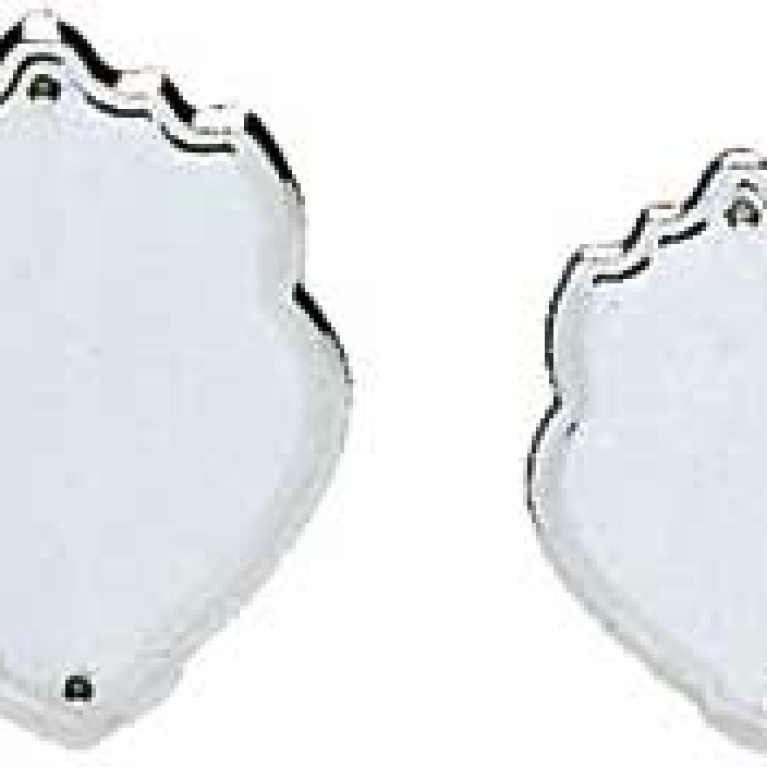 Plated in Chrome, Metal Record Shield 3 sizes