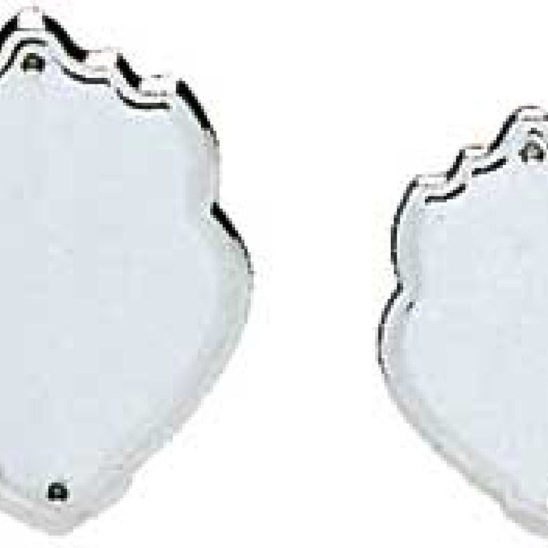 Plated in Chrome, Metal Record Shield 3 sizes