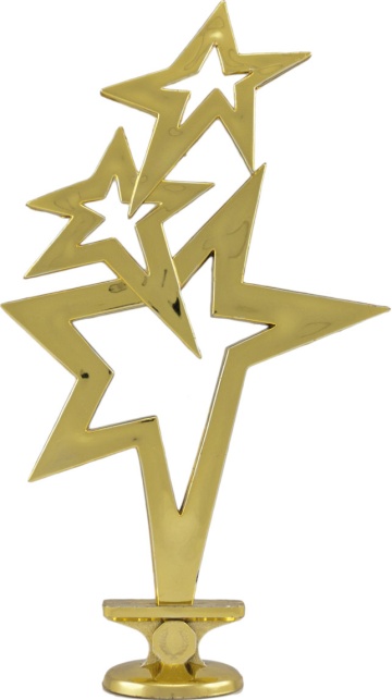 Star Top in Bright Gold