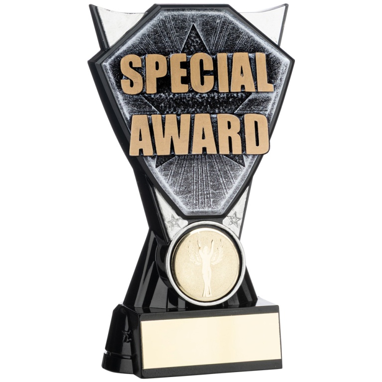 Two Tone Stand  Special Award   Silver and Black 4 sizes