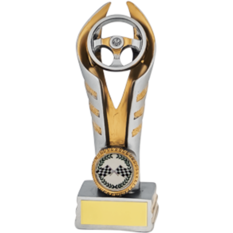 Silver and Gold Steering Wheel Award