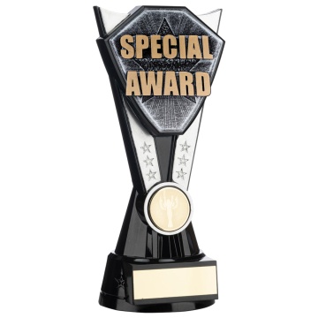 Two Tone Stand  Special Award   Silver and Black 4 sizes