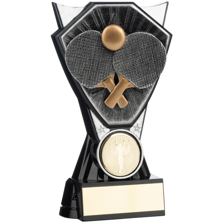 Two Tone Stand  Table Tennis Bats and Ball   Silver and Black 4 sizes