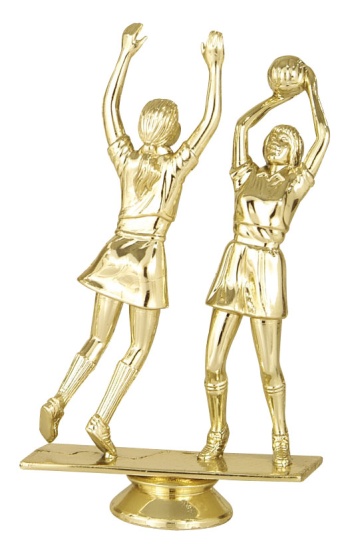 DOUBLE NETBALL LARGE