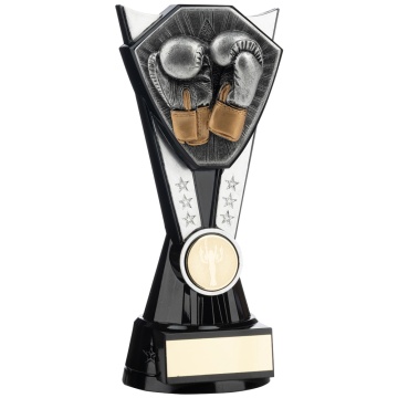 Two Tone Stand Boxing Gloves   Silver  and Black  4 sizes