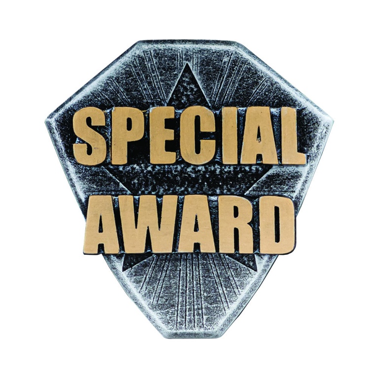V Power Trim Special Award