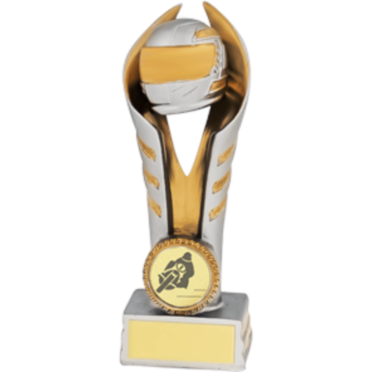 Silver and Gold Helmet Award in 4 sizes