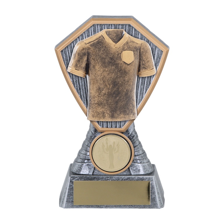 Heavy Composite Award with Male/ Female Sports Shirt Insert in 4 sizes