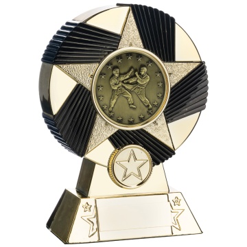 Two Tone Stand Martial Arts   Bright Gold and Black 4 sizes