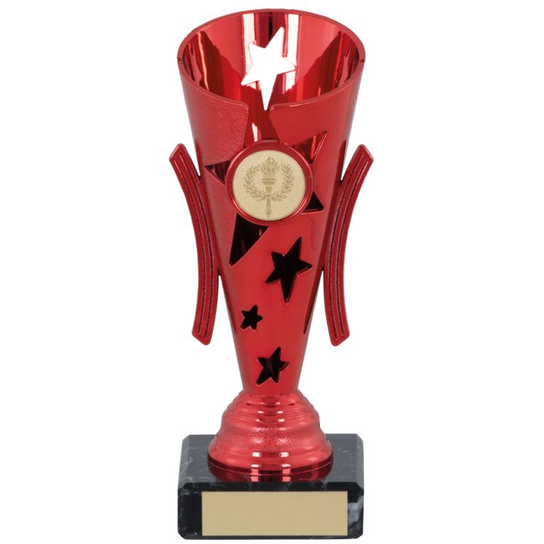 All Activity Award-Plastic on Marble Base 5 sizes