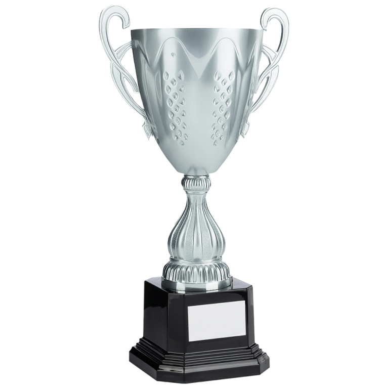 Bright Silver Conical Cup with Handles  5 sizes